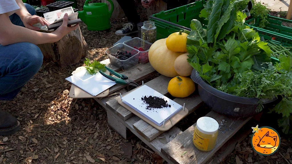 Phytography with the Fox Cub Club at Eastbourne Allotments & Gardens Society