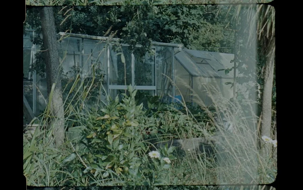 Experimental Filmmaking at Eastbourne Allotments & Gardens Society