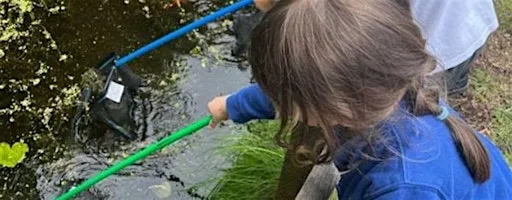 Wild Wednesday - Pond dipping at Grand Western Canal Country Park