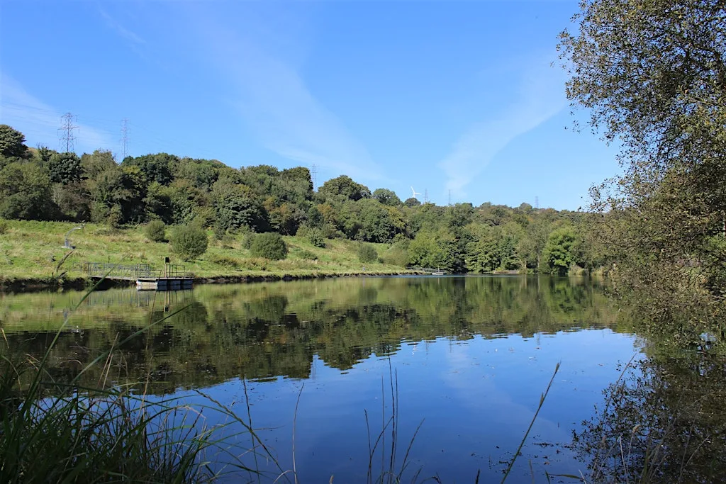 Ligoniel Dams Woodland Walk at Ligoniel Dams