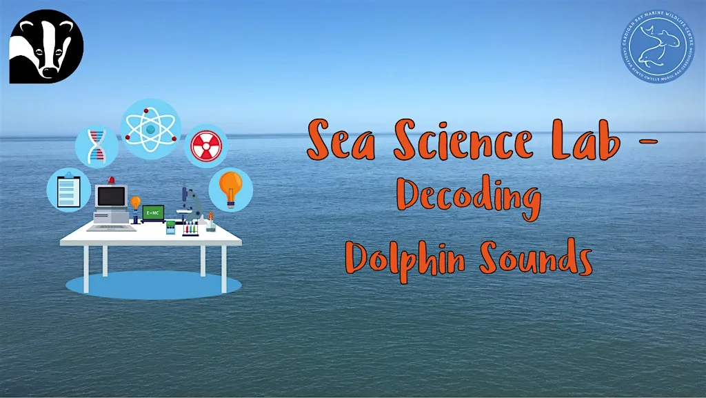 Sea Science Lab - Decoding Dolphin Sounds at Cardigan Bay Marine Wildlife Centre