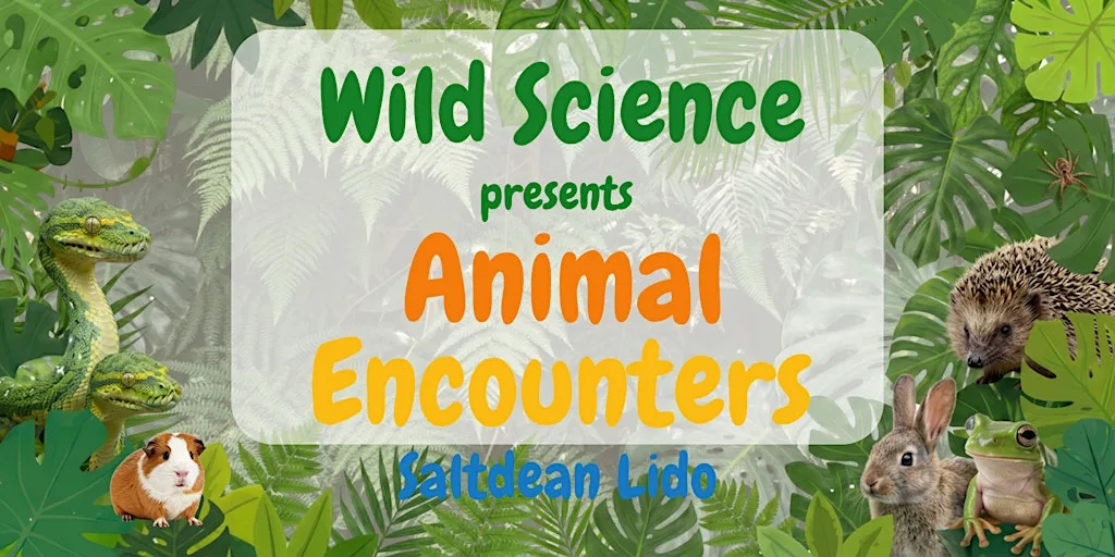 Wild Science Presents Animal Encounters at Saltdean Lido