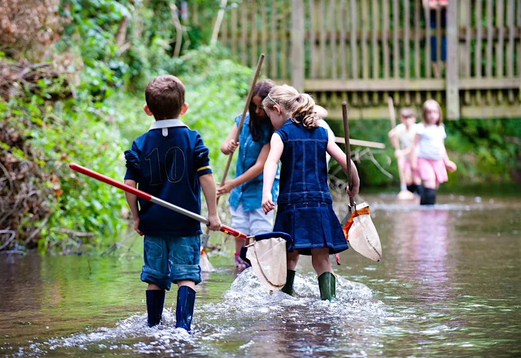 Water Detectives - Free Summer Family Fun Day