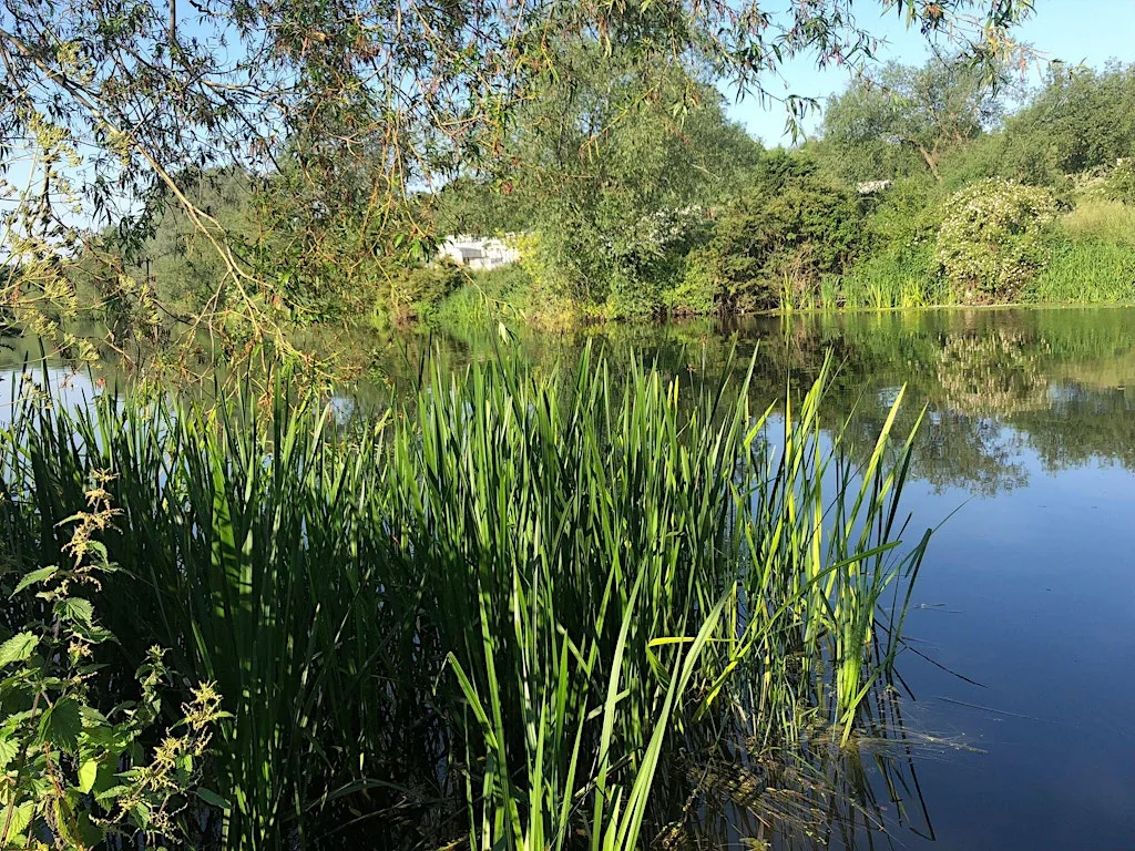 Restore our River with AvonVale River Action Group