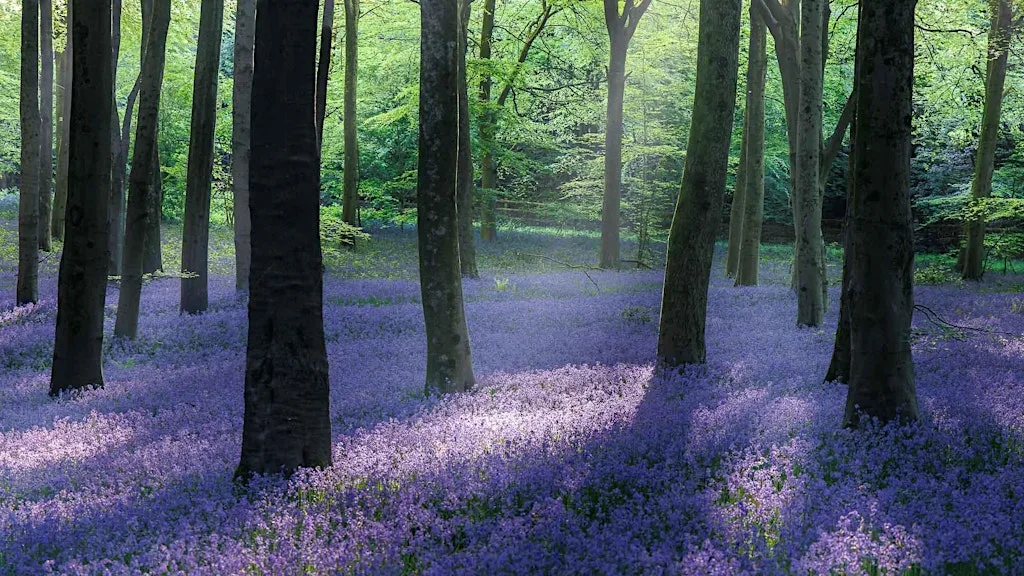 Jack Lodge | Chasing Light in Wild Places at Wex Photo Video Glasgow