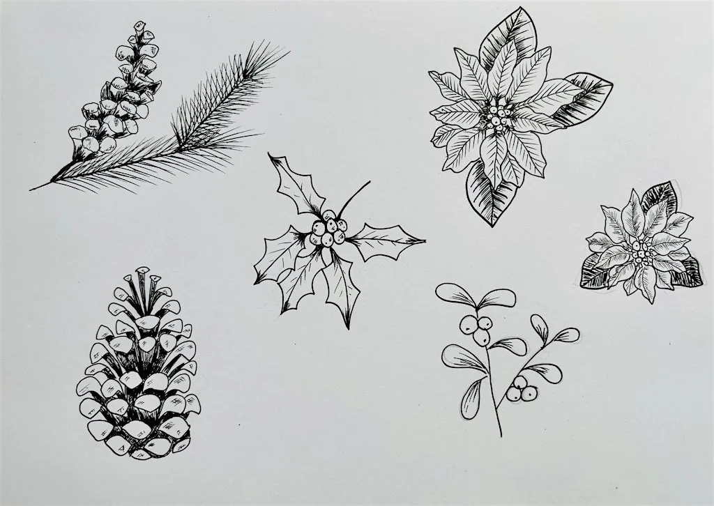 NEW! Learn How to Draw winter Botanicals –November-Four-Session Course at Shrewsbury Library