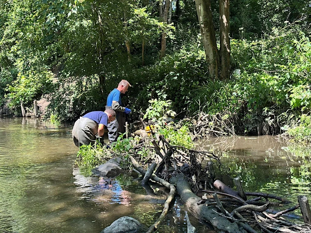 TCV - Crane Park River Deflector Repairs & Himalayan Balsam Removal