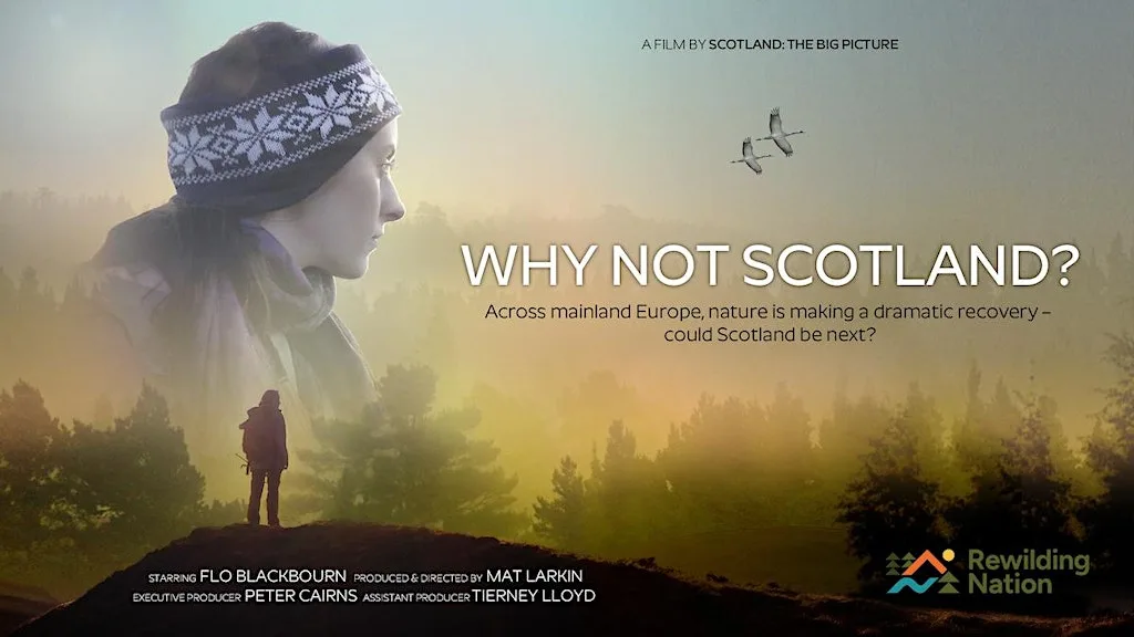 Why Not Glossop? Exploring moorland rewilding with a film, Q&A + discussion at Whitfield Community Centre