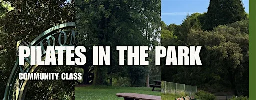 Community Pilates session in the park