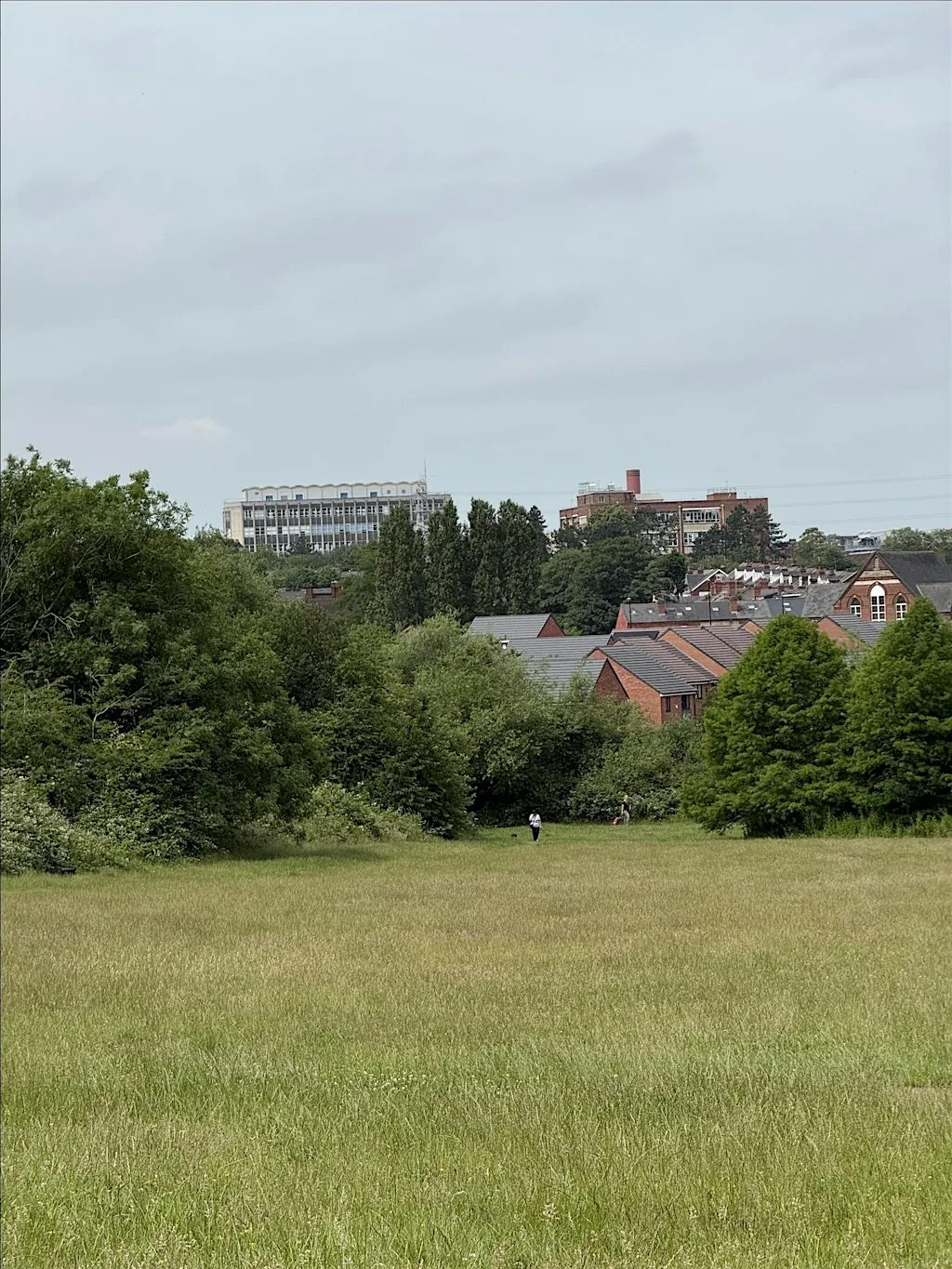 Stirchley Squiggle Walk