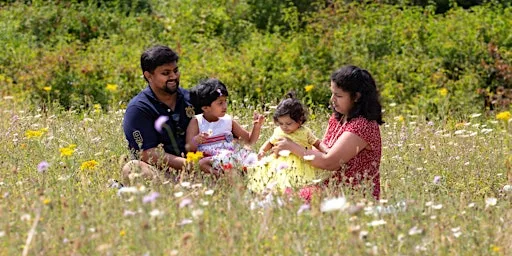 Summer Holiday Meadow Minibeast Hunt for Families (morning) - Nature Discovery Centre, Tuesday 18 August