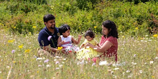 Summer Holiday Meadow Minibeast Hunt for Families (morning) - Nature Discovery Centre, Tuesday 25 August