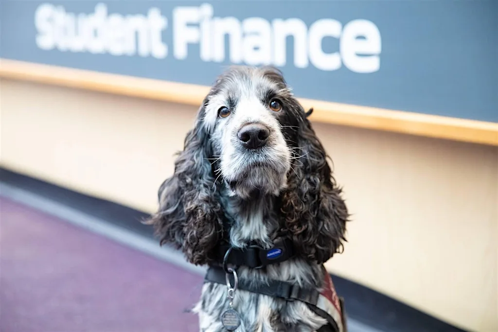 Pets as Therapy - Dog edition at Unite Students - Chaucer House, Portsmouth