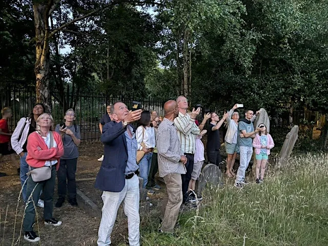 Bat Walk with our friends from Ealing Wildlife Group at South Ealing Cemetery
