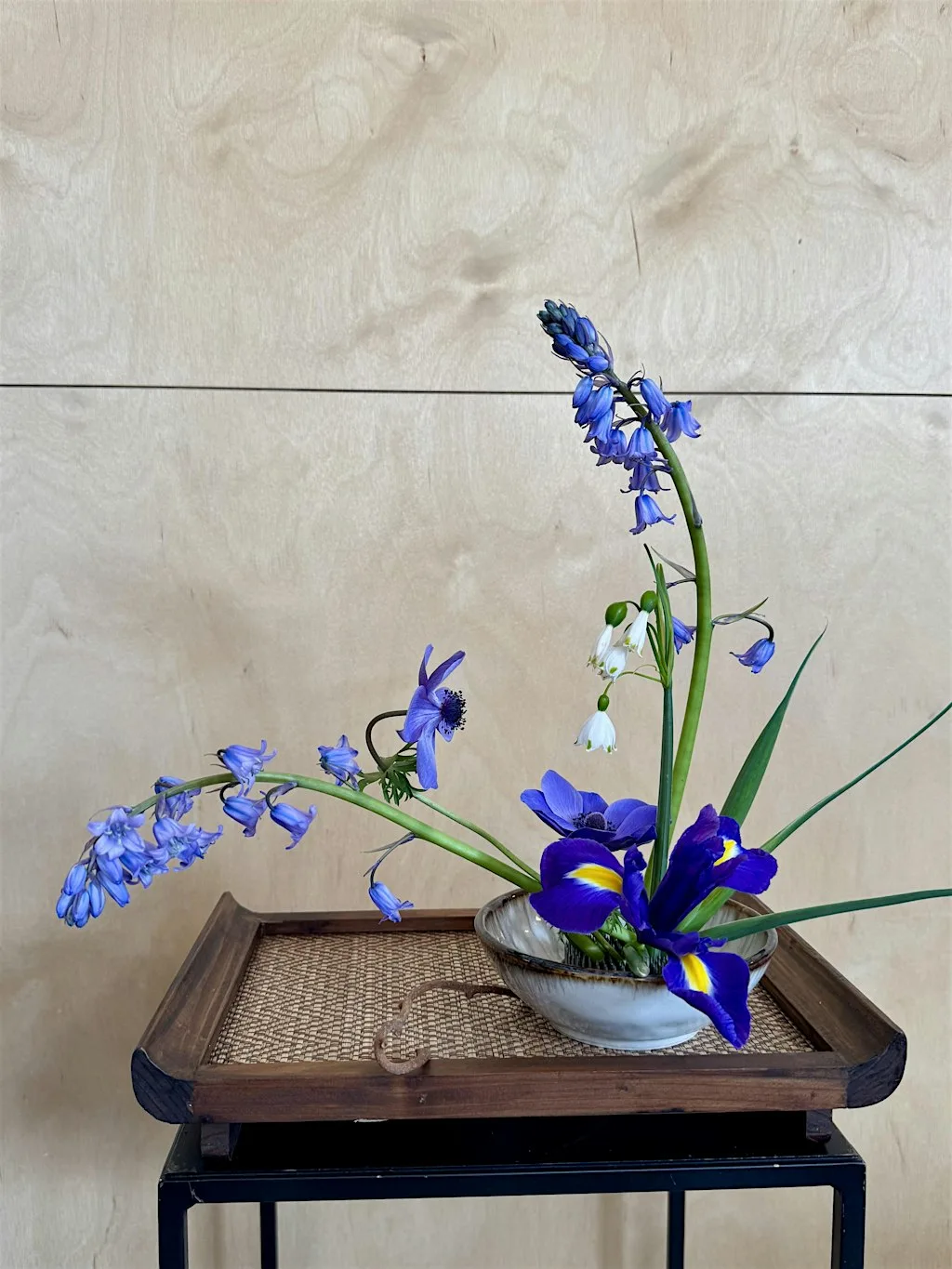 Ikebana in the Garden: Japanese Flower Arranging in Brighton at Brighton