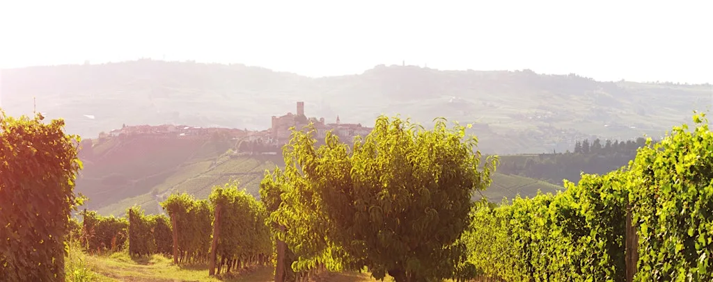 Astral Wines | GIANNI GAGLIARDO WINE TASTING | 28 July | Bacco Wine Bar at Bacco Wine