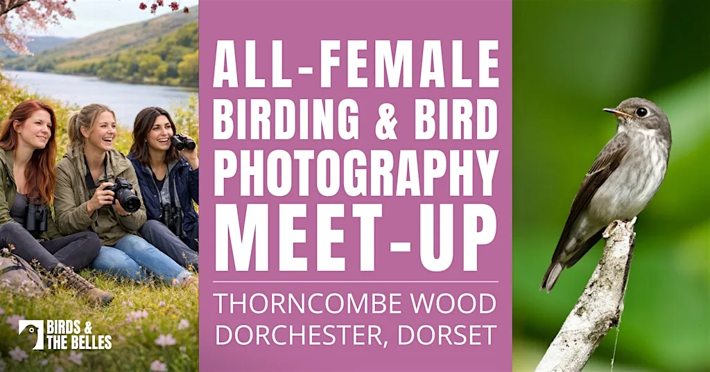 All-Female Birding & Bird Photography Morning at Thorncombe Wood Local Nature Reserve