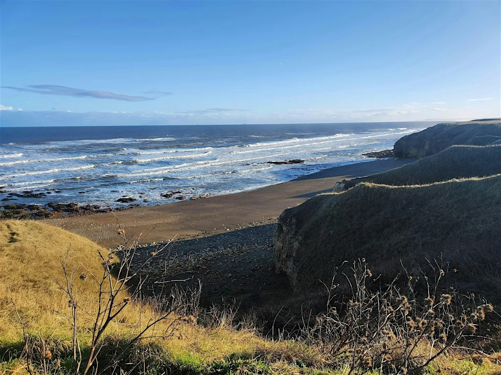 Marine Week: Beach Clean - Blackhall Rocks at Red Acre Beach