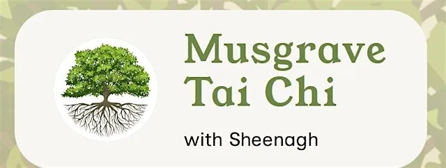 Tai Chi in Musgrave Park Bowling Pavilion, Belfast