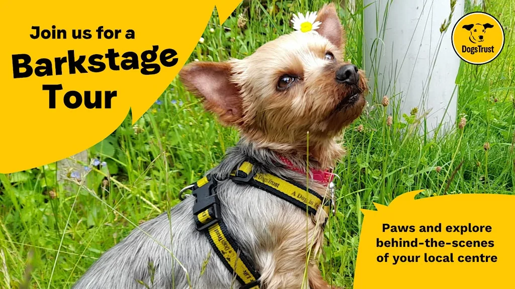 Barkstage Pass tour at Dogs Trust Canterbury