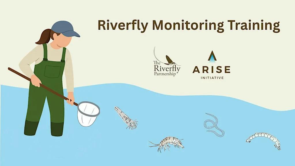 Riverfly Monitoring Initiative Training Day: Ingoldisthorpe, Norfolk