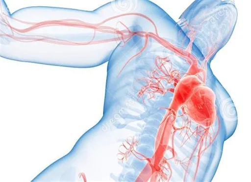 Vascular Care in the Community: Education and Skills Day at Bank House Hotel Spa & Golf Club