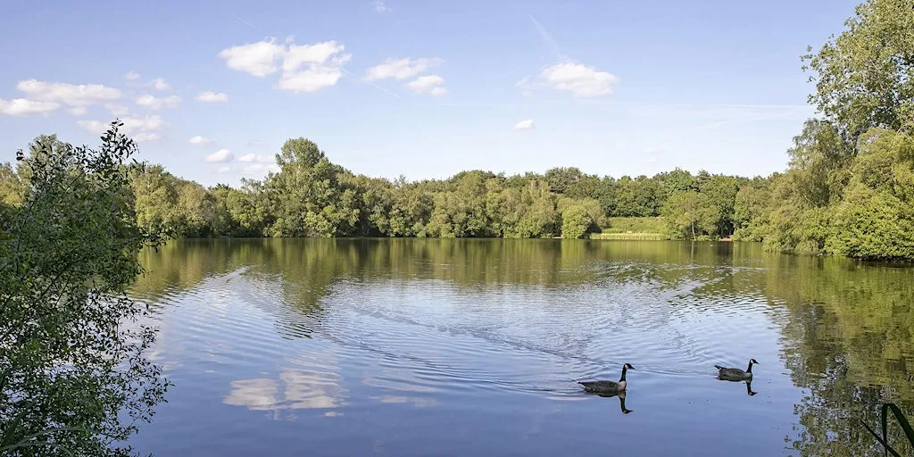 Wellesley Woodlands Evening Health Walk - Chalk Farm Lake
