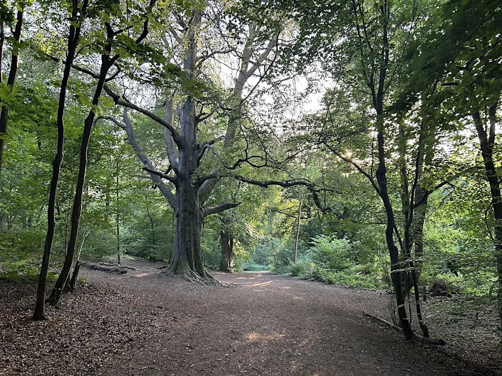 Property Networking Trail Run Surrey at Chipstead