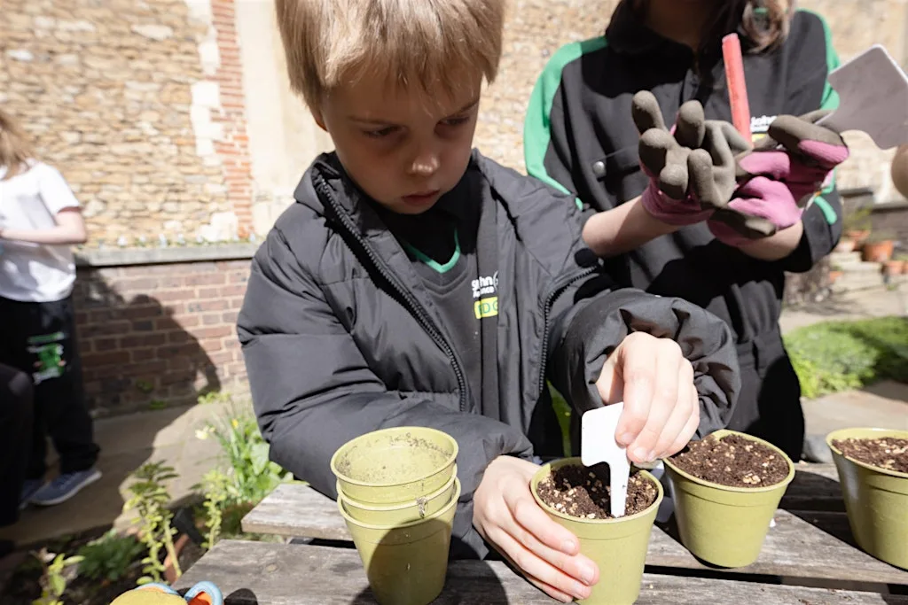 Drop-In Free Family Activity: Plant. Print, Grow! at Museum of the Order of St John