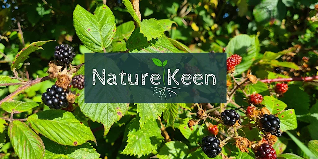 Embracing the Seasons: An introduction to the basics of foraging at Treborth Botanic Garden