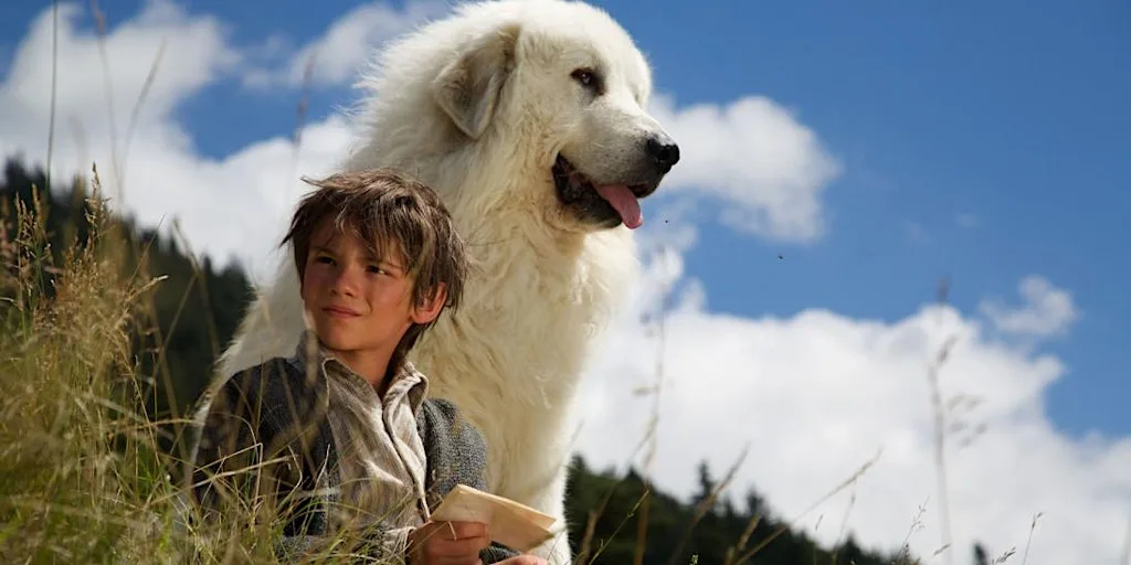 Baltic Cinema: Belle and Sebastian at BALTIC Centre for Contemporary Art