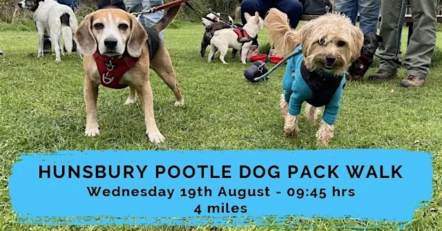 HUNSBURY POOTLE DOG PACK WALK | 4 MILES | MODERATE | NORTHANTS at Hunsbury Library Car Park