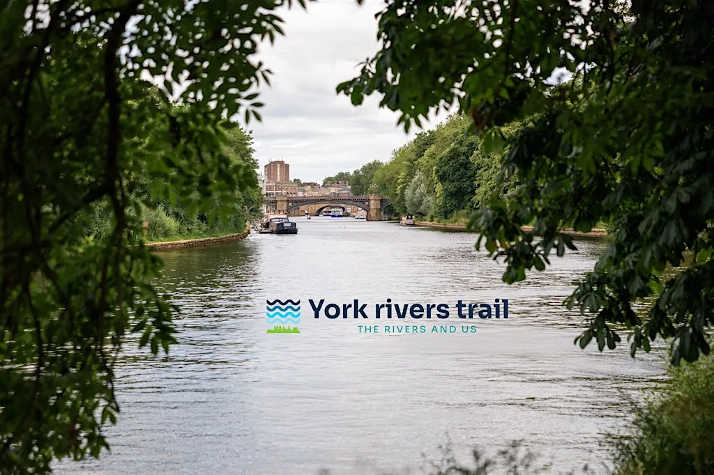 The rivers and us: photo walk from Millennium Bridge to Tower Gardens at Millennium Bridge