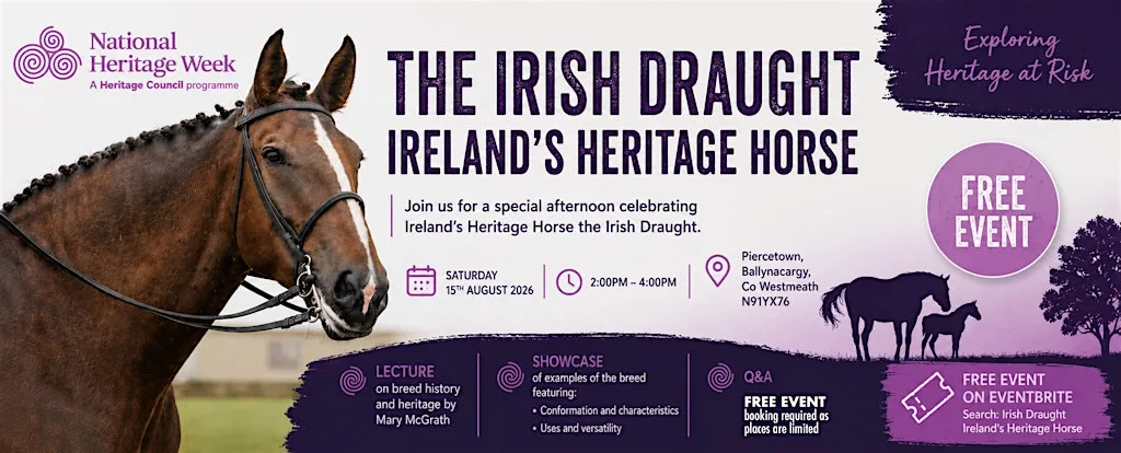 The Irish Draught – Ireland's Heritage Horse at N91 YX76