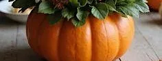 Floral Pumpkin Workshop at East Durham College, Houghall Campus