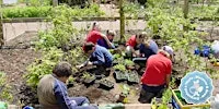Discover & Grow - Growing Together | Darganfod a Thyfu - Tyfu Gyda'n Gilydd at National Botanic Garden of Wales | Gardd Fotaneg Genedlaethol Cymru