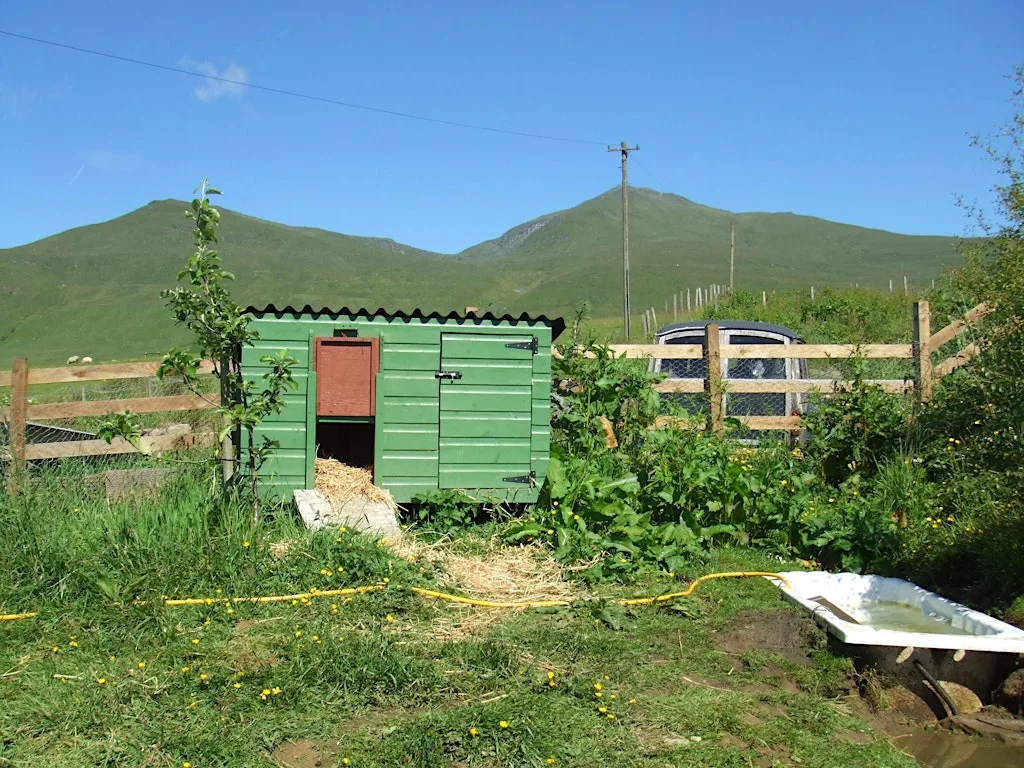 SHED BUILDING SKILLS at Perth Community Farm