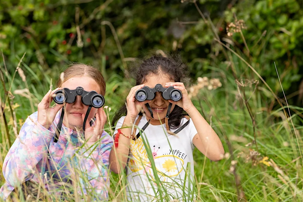 Birds Eye View at Mowbray Park Community Garden