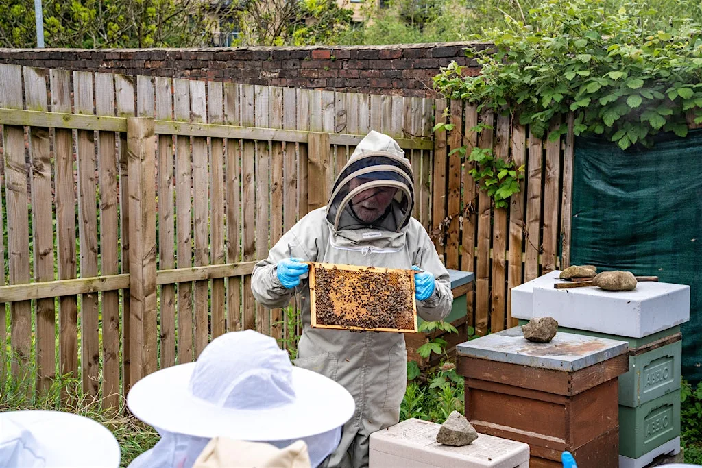 WP Nature Trail - The Little Beekeepers Club at Wellington Central