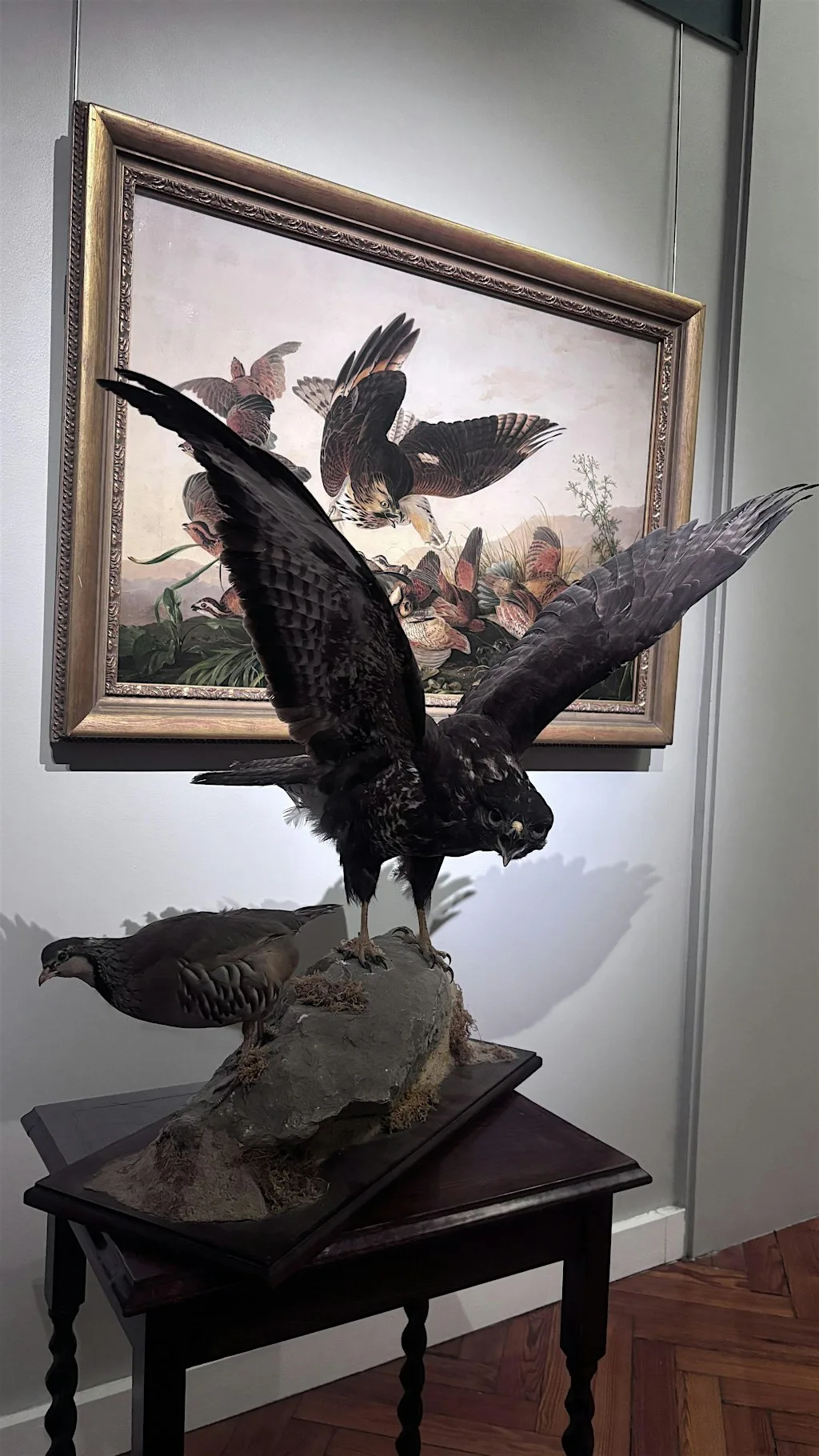 Spark Cart - John James Audubon at Victoria Gallery & Museum