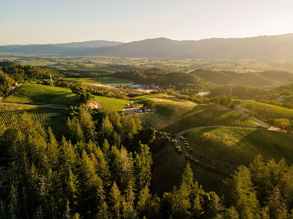 World of Wine Tasting: California with Kevin Travis from Starmont Vineyards at Humble Grape Islington