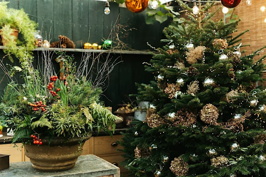 Festive Stylish Containers at Petersham Nurseries