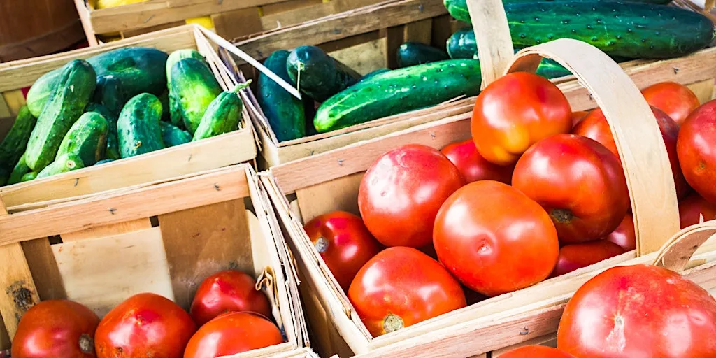 Seasonal dishes with the Seed Library at A K Bell Library
