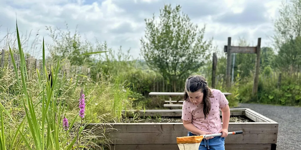 Pond Dipping at Brockholes Nature Reserve at Brockholes Nature Reserve