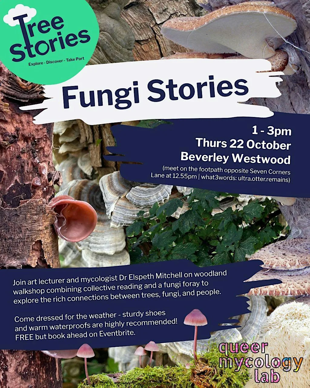 Fungi Stories: A Reading Walk at Beverley Westwood (footpath, see event description)