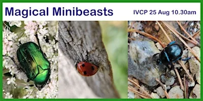 Magical Minibeasts at Itchen Valley Country Park