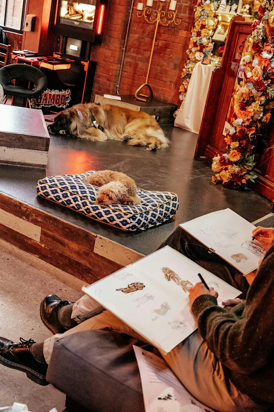 Dog Life Drawing - Bitsy's Emporium at Bitsy's Emporium of Awesome
