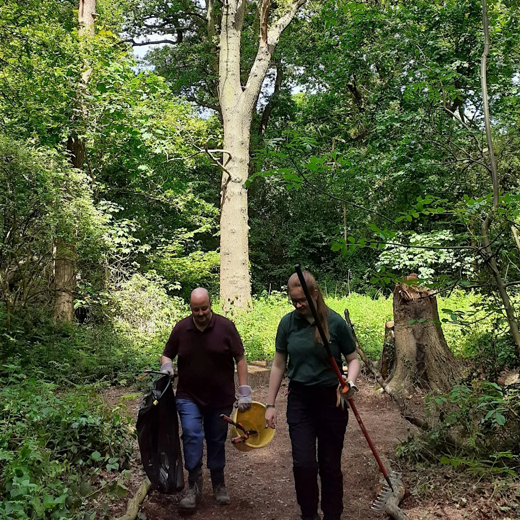 Citizen Forester Woodland Litter Pick at Hatchett's Wood, Manchester at Hatchetts Wood