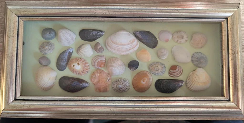 Limpet and Seaglass Art Workshop at Greyhope Bay Centre