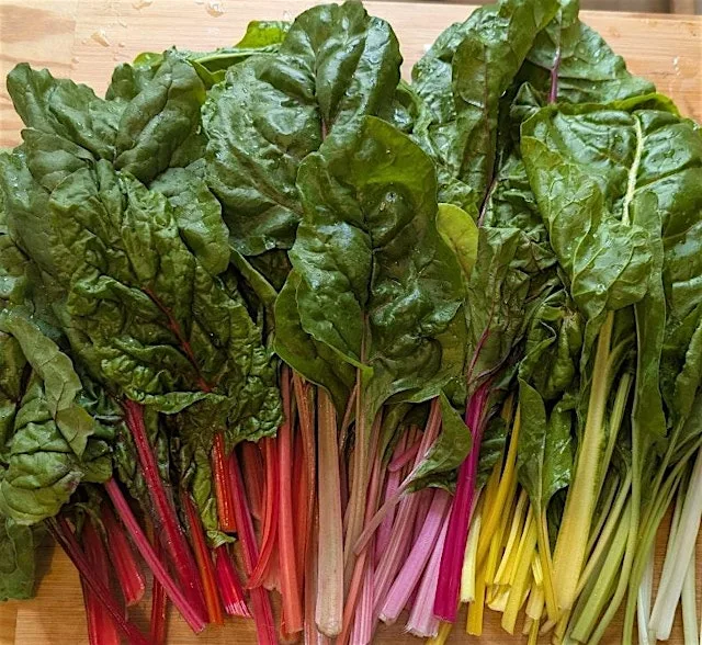 Pickling Workshop - Community Garden in Streatham London
